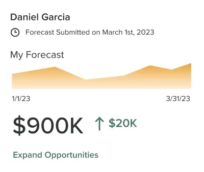 forecast interface